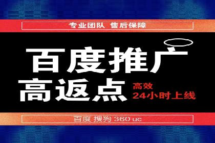 揭秘SEM竞价成功案例，助你提升ROI